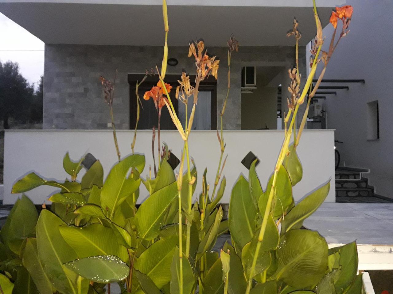 Villa Oliva Astris Exteriör bild